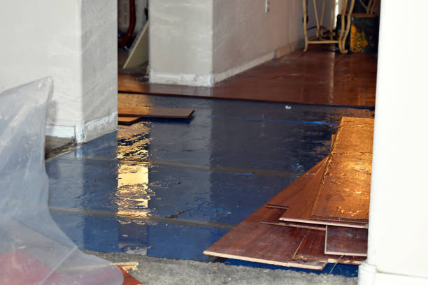 Professional Sewage Cleanup technician working in Gilman, IL